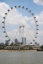 Singapore Flyer